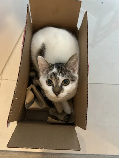 paulina-maciazek - komu wyslac w przesylce