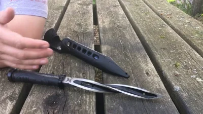 SystemHalted2_0 - @x51r  Na amstaffa lepsze w połączeniu z tym.