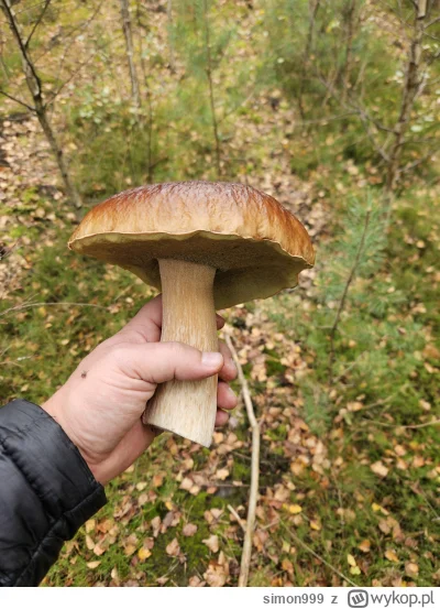 simon999 - @simon999: