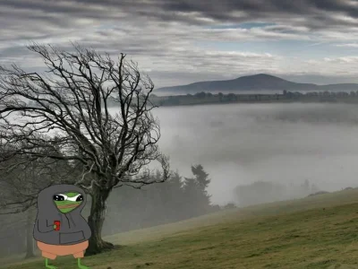 derzaba - Co tam planujecie dziś frenuchy?
Bo ja se będę chodził po polach i wiochach...