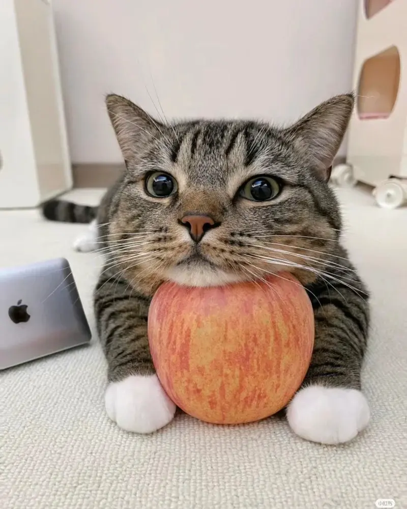 toolonge - @MarksMialRacje: