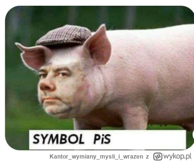 Kantorwymianymysliiwrazen - @Scybulko: (⌒(oo)⌒)