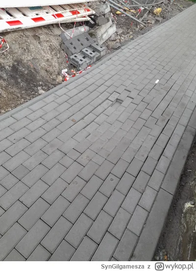 SynGilgamesza - ledwie tydzień temu zrobili nowy chodnik i już sie zapadł xD

#gownow...