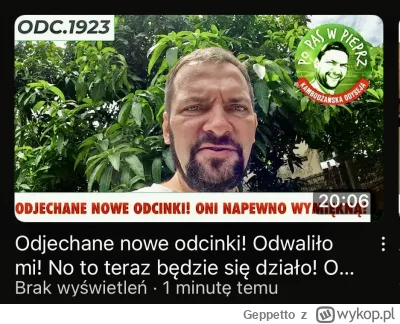 Geppetto - #raportzpanstwasrodka ooo zobaczcie jak on wygląda