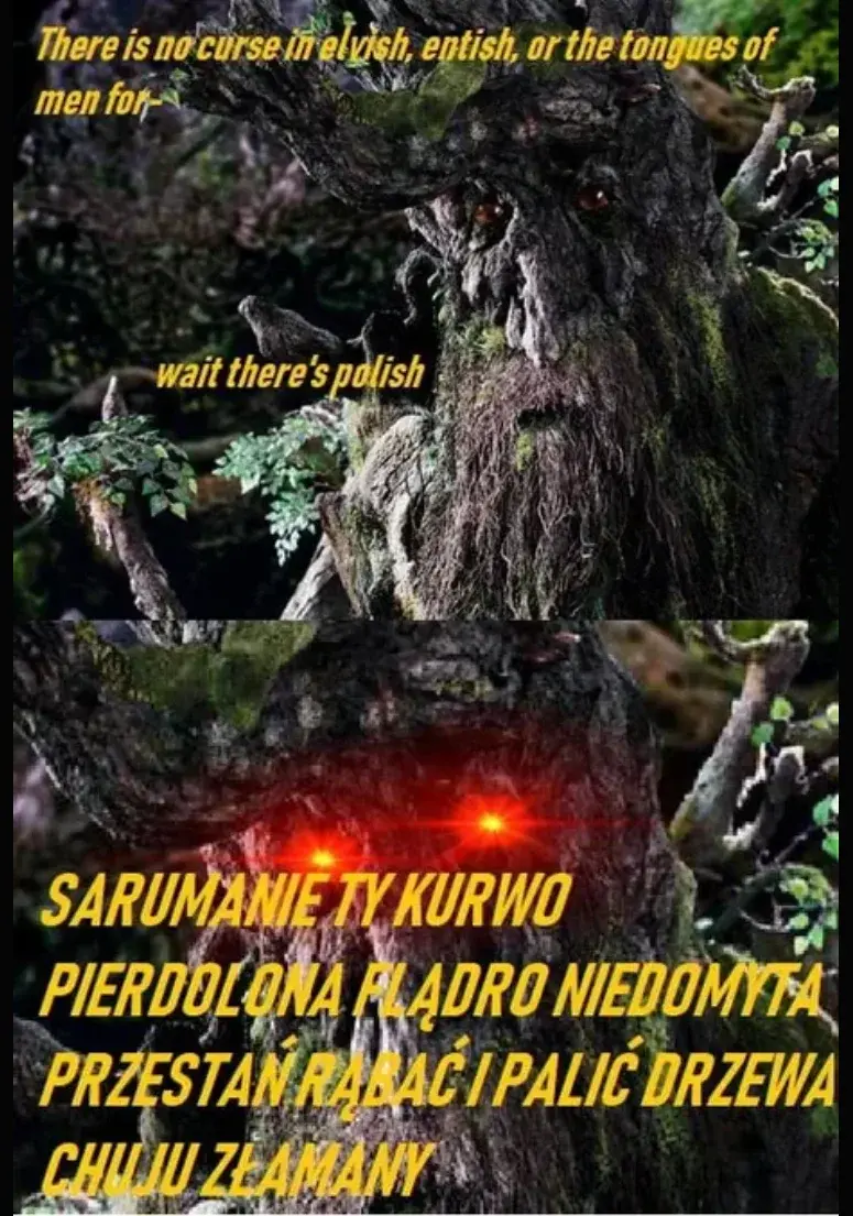 Atomus - #wladcapierscieni #lotr