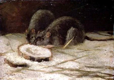 Corvus_Frugilagus - Vincent van Gogh - Dwa szczury

#corvusfrugilaguscontent