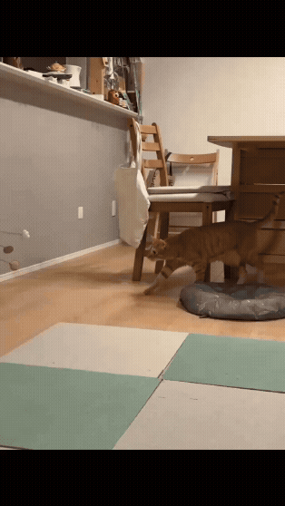 jestemtakizmeczony - @jestemtakizmeczony: