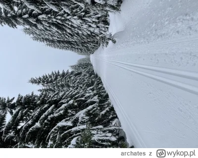 archates - @wspodnicynamtb: podziwiam dzisiaj szarpnięcie się na Jakuszyce. Ja 30km p...