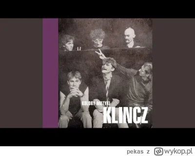 pekas - #rock #synthpop #80s #muzykaelektroniczna #polskamuzyka #muzyka

Klincz - Pos...