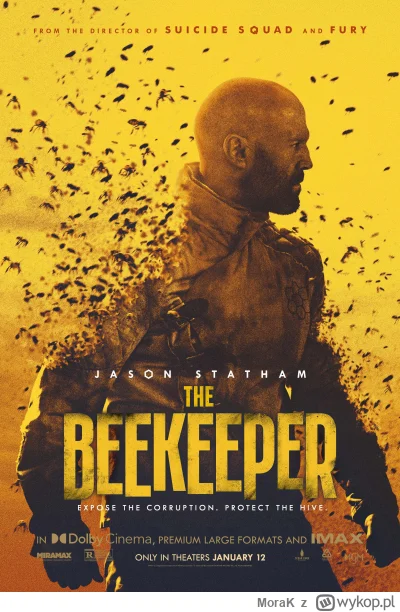 MoraK - Dzień dobry :)
Dziś o 20:00 odpalam "The Beekeper", samotnych i chętnych zapr...