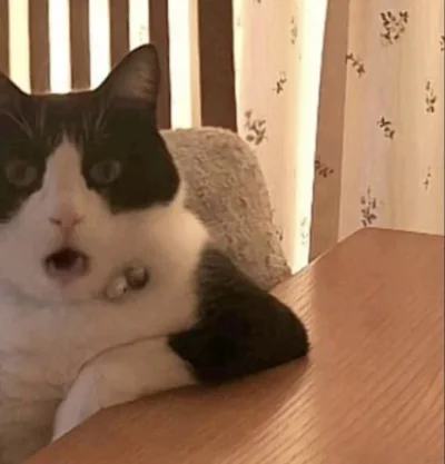 hikka-reginald-bjoernson - #hotelparadise o nie Anton odpadł :0 ( wszyscy wiedzieliśm...