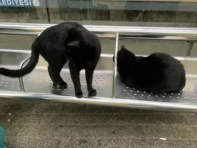 jestemtakizmeczony - @jestemtakizmeczony: