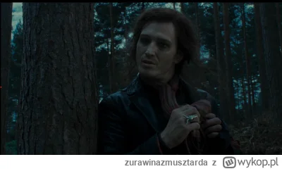 zurawinazmusztarda - cześć piękna

przegiołem co

#harrypotter