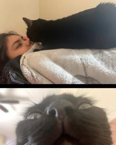 paczelok - #paczekot #wykop #imgur #programowanie #kot #koty #smiesznypiesek

cc: @m_...