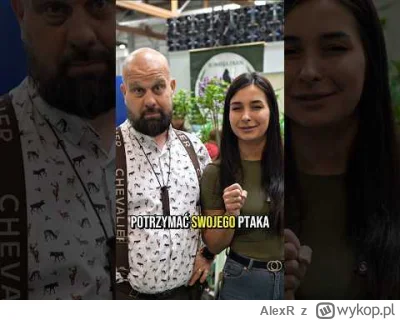 AlexR - tego nie da sie odzobaczyc  ( ͡° ͜ʖ ͡°)ﾉ⌐■-■ #youtube #cringe #pokazptaka