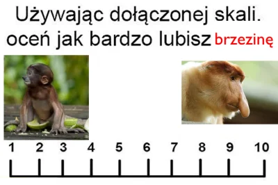 paczelok - #konkursnanajbardziejgownianymemznosaczem