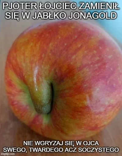 spedytor15k - #konkursnanajbardziejgownianymemznosaczem