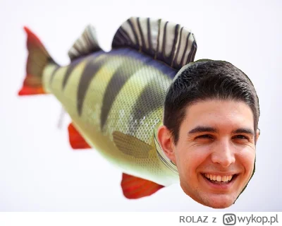 ROLAZ - Esteban Okoń
#f1