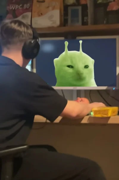 ada_lovelace - kiedy przychodzisz do kolegi co powtarza "ja nie lubię kotów"