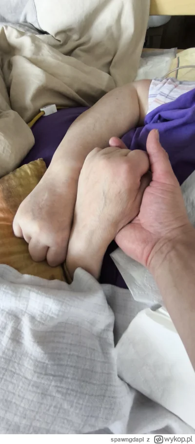 spawngdapl - pomocy #trojmiasto #zrzutka #wykoppomaga #wykopefekt #gdansk

Cześć, dzi...