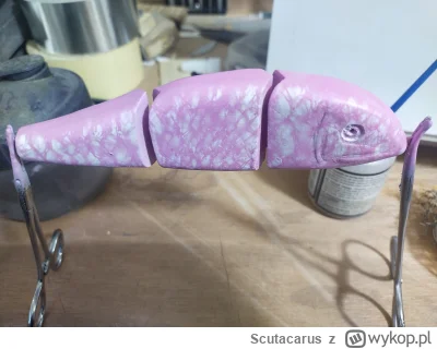 Scutacarus - #wedkarstwo  #poznanskieprzygodywedkarskie 

już słyszę te komentarze w ...