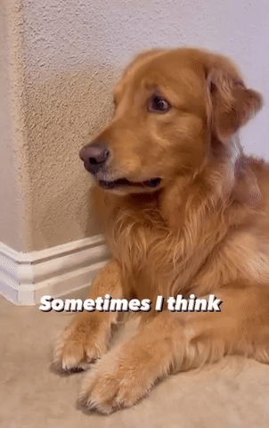 Arvin - Co ja miałem napisać?
#przegryw