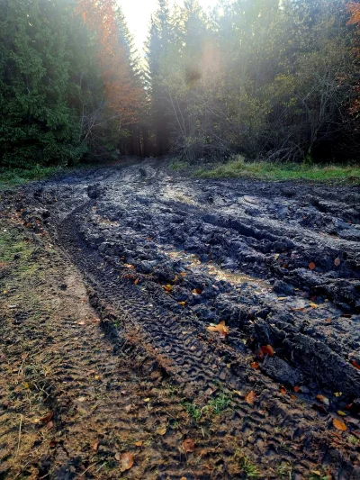 obywatel_z - Chodząc dużo po górach coraz częściej i w coraz większej ilości miejsc z...