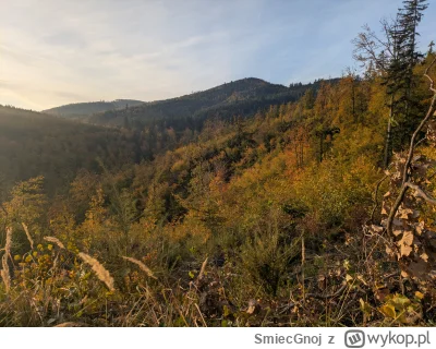 SmiecGnoj - Przede mną droga, którą znam. 
Ale nie wybrałem jej raczej sam.
#spierdot...