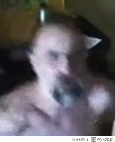 patek66 - #danielmagical #chlopakizraszei #raszei #patostreamy