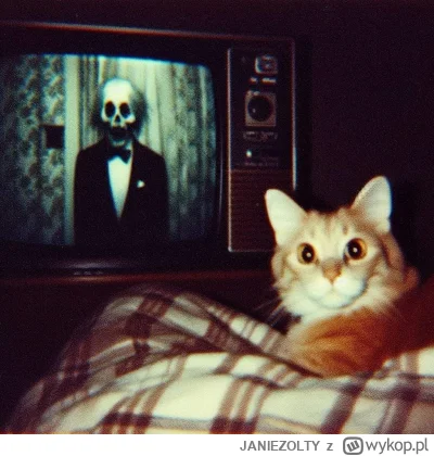 JANIEZOLTY - #aikitku