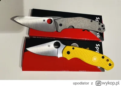 upodlator - Dwa nowe pajunki

#noze