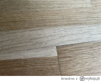 BrianEno - Jak naprawić takie mikro dziury w podlodze drewninej? Sa jakies pasty czy ...