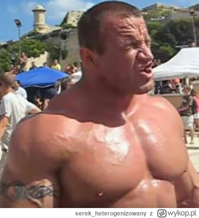 serek_heterogenizowany - @Atreyu: To by nic nie dało, on miał wersję z 3 litrowym kle...