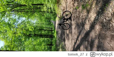 tomek27 - @tomek27