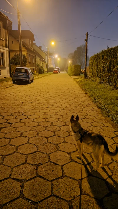 Fantomo - Chuop po nocy chodzi żeby pimpek mógł bez świadków ugryźć jakiegoś człowiek...