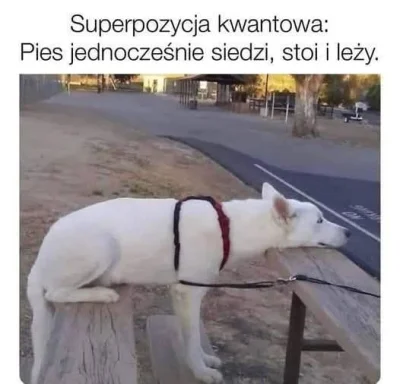 jabol6000 - #heheszki