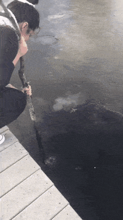 wfyokyga - Śmiechu warte 2