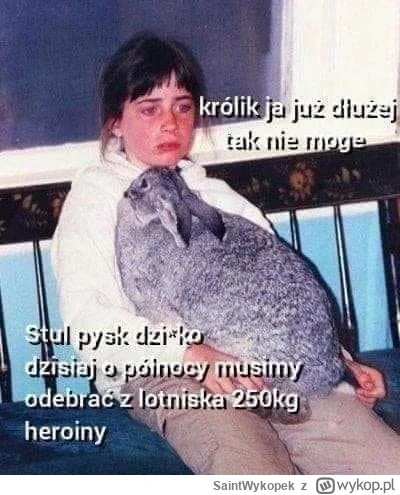 SaintWykopek - Stare memisko ( ͡º ͜ʖ͡º)