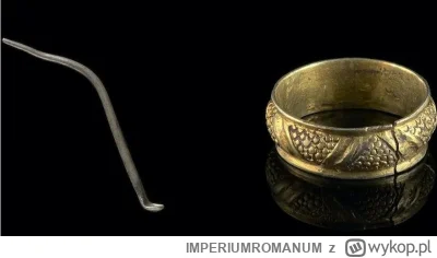 IMPERIUMROMANUM - W Walii odkryto srebrną "łyżkę toaletową" z czasów rzymskich

W Wal...