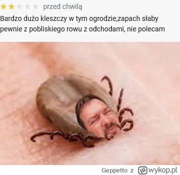 Geppetto - #raportzpanstwasrodka