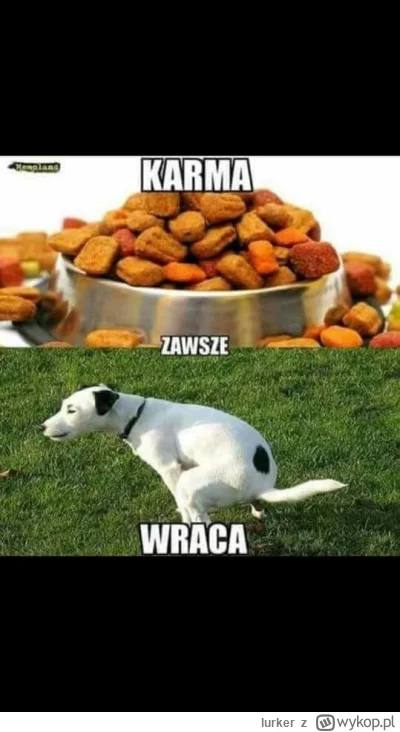 lurker - @arynt: to nie te czasy, że wracająca karma była kwestią religii.
Obecnie: