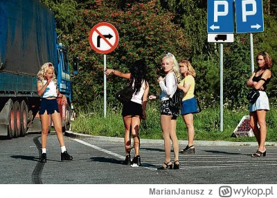 MarianJanusz - Moim zdaniem to wszystko przez to, ze zanika w Polsce prostytucja. W o...