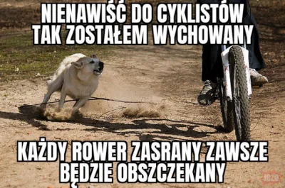 RasowyAfroamerykanin - #psy #psiarze #pies #rower #smiesznypiesek