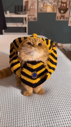 jestemtakizmeczony - #smiesznekotki 🧵
#gifyzkotkami #smiesznekoty #gifyzkotami #kot...