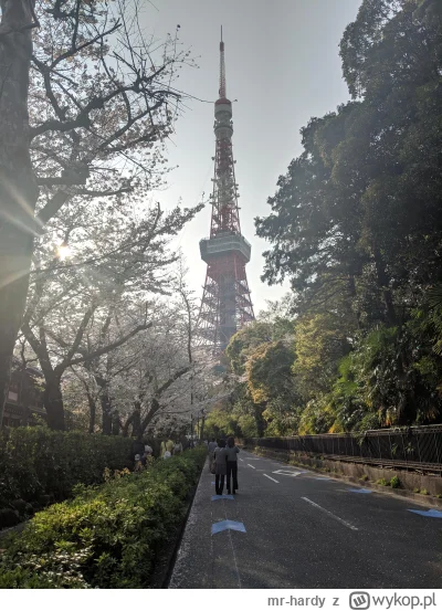 m.....y - Tokyo Tower

#tokyo﻿ ﻿#japonia﻿ ﻿#fotografia﻿ ﻿#zdjecia﻿ ﻿#zdjecie