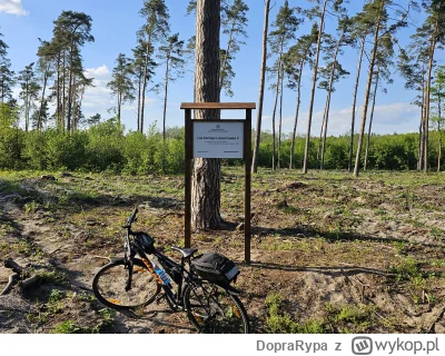 DopraRypa - @DopraRypa: Słynny las którego nie ma. Tylko trochę mało rzułty.(⌐ ͡■ ͜ʖ ...