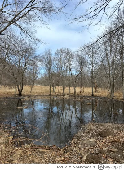 R2D2zSosnowca - @R2D2zSosnowca III