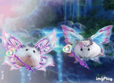 dywergent - jutro planuje tak:
1. zjesc sniadanie
2. odwiedzic sklep z energetykami
3...