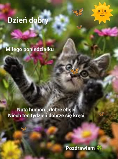 notakjakbytotalnie_ - #kartkanarano