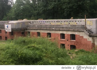 detalite - Tak wygląda remontowany fort Twierdzy Kraków. Znajduje się w parku w środk...
